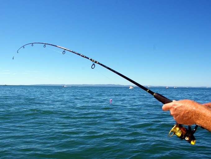 Pesca para a fiação. Revelando os segredos