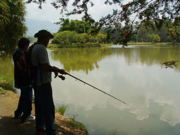 Como escolher uma linha de pesca para girar