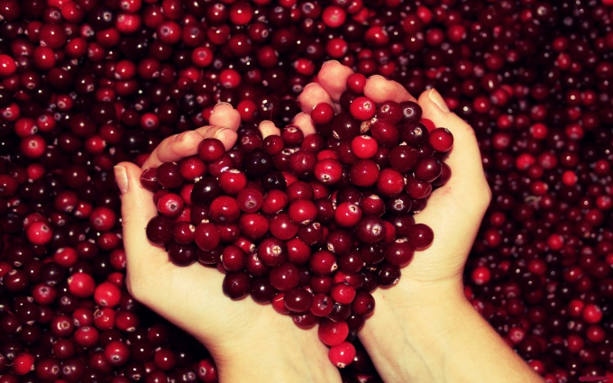 Máscaras nutricionais para cabelos de cranberries