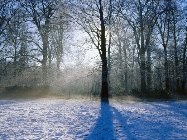 O que são sinais de inverno