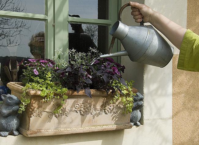 Fertilizantes para plantas em vasos