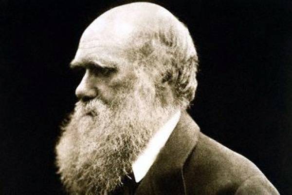 A importância da teoria de Darwin para a humanidade