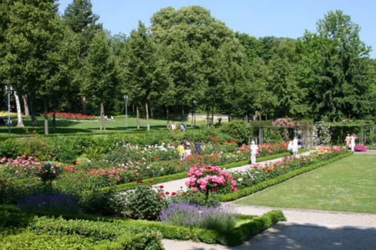 Atrações em Berna: Rose Garden