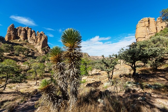 Paisagem mexicana